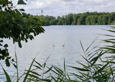 Rund um den Mühlenteich in Wismar
