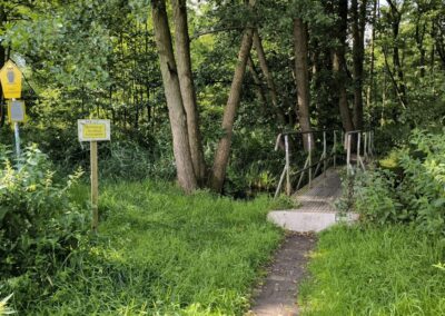 Rund um den Mühlenteich in Wismar