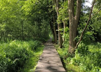 Rund um den Mühlenteich in Wismar