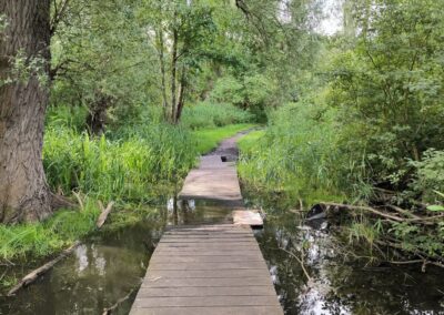 Rund um den Mühlenteich in Wismar