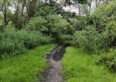Rund um den Mühlenteich in Wismar