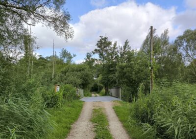 Rund um den Mühlenteich in Wismar