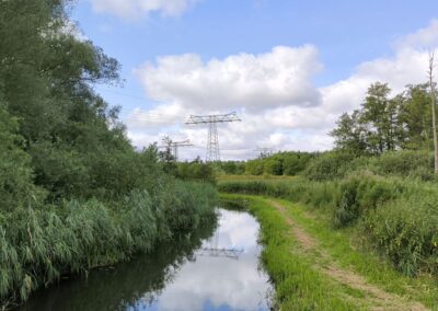 Rund um den Mühlenteich in Wismar
