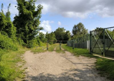 Rund um den Mühlenteich in Wismar