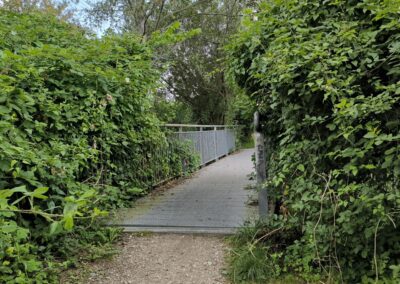 Rund um den Mühlenteich in Wismar
