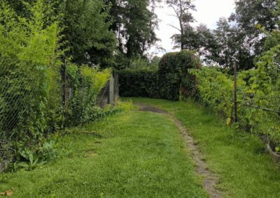Rund um den Mühlenteich in Wismar