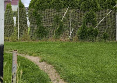 Rund um den Mühlenteich in Wismar