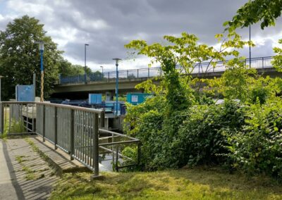 Rund um den Mühlenteich in Wismar