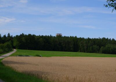 Der Hirschbergweg in Fuhrn