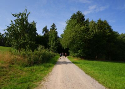Der Hirschbergweg in Fuhrn