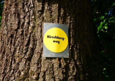 Der Hirschbergweg in Fuhrn