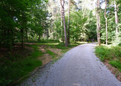 Der Hirschbergweg in Fuhrn