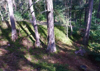 Der Hirschbergweg in Fuhrn