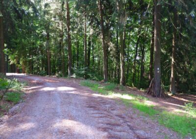 Der Hirschbergweg in Fuhrn