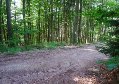 Der Hirschbergweg in Fuhrn