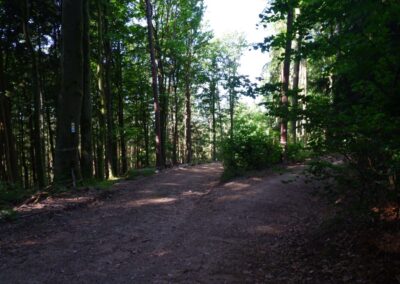 Der Hirschbergweg in Fuhrn