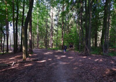 Der Hirschbergweg in Fuhrn