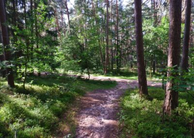 Der Hirschbergweg in Fuhrn