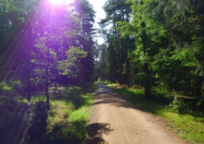 Der Hirschbergweg in Fuhrn