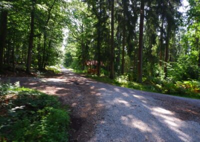 Der Hirschbergweg in Fuhrn