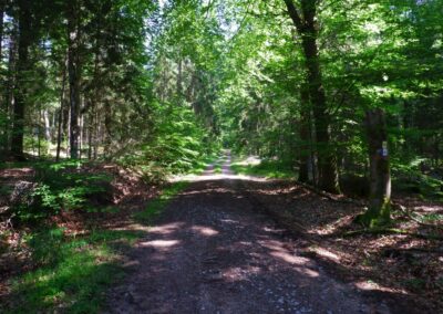 Der Hirschbergweg in Fuhrn