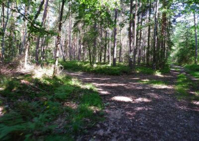 Der Hirschbergweg in Fuhrn