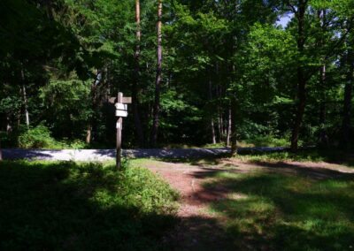 Der Hirschbergweg in Fuhrn