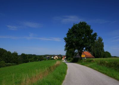 Der Hirschbergweg in Fuhrn