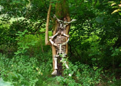 Durch den Wildgarten in Furth im Wald