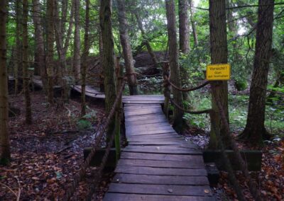 Durch den Wildgarten in Furth im Wald