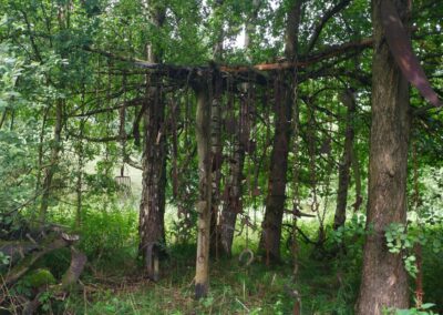 Durch den Wildgarten in Furth im Wald