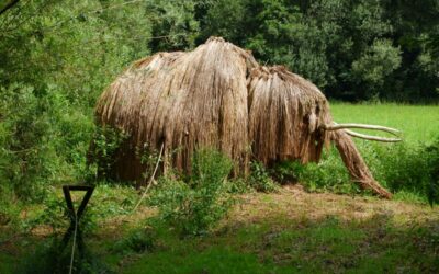 Durch den Wildgarten in Furth im Wald