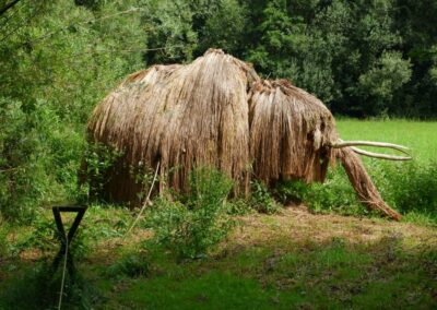 Durch den Wildgarten in Furth im Wald