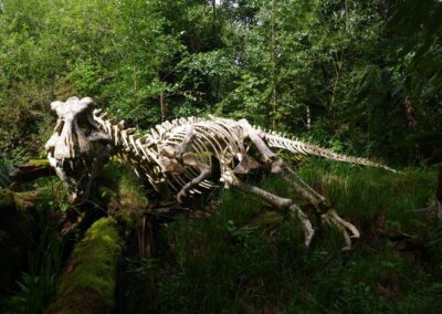 Durch den Wildgarten in Furth im Wald