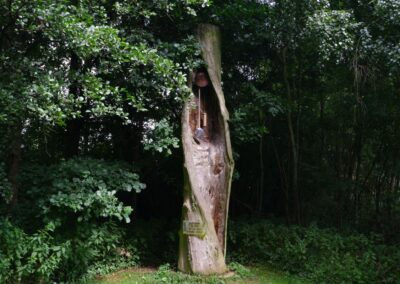 Durch den Wildgarten in Furth im Wald
