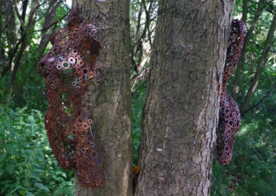 Durch den Wildgarten in Furth im Wald