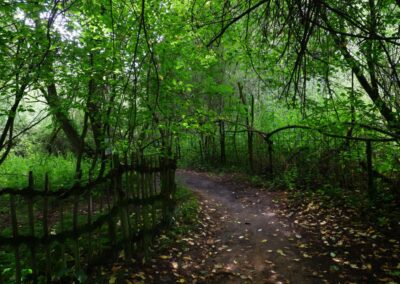 Durch den Wildgarten in Furth im Wald