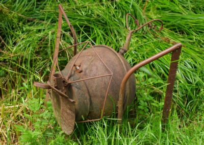 Durch den Wildgarten in Furth im Wald
