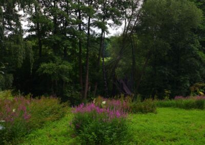 Durch den Wildgarten in Furth im Wald
