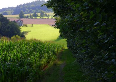 Der Eixi-Abenteuerlehrpfad in Gütenland