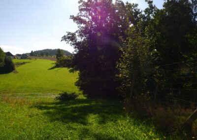Der Eixi-Abenteuerlehrpfad in Gütenland