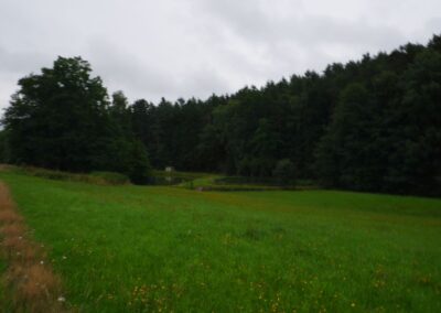Rund um Kleinwinklarn