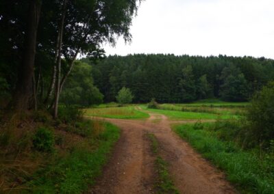 Rund um Kleinwinklarn
