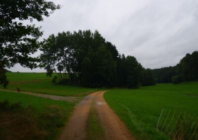 Rund um Kleinwinklarn