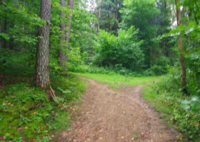 Rund um Kleinwinklarn