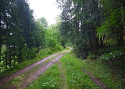 Rund um Kleinwinklarn