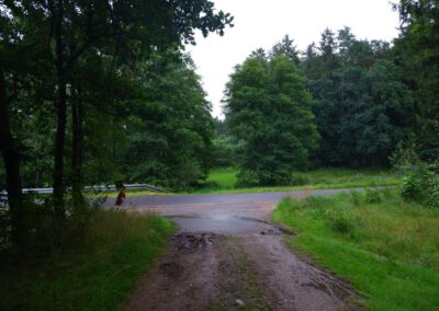 Rund um Kleinwinklarn