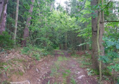 Rund um Kleinwinklarn