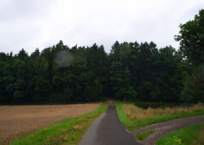 Rund um Kleinwinklarn