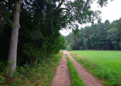 Rund um Kleinwinklarn